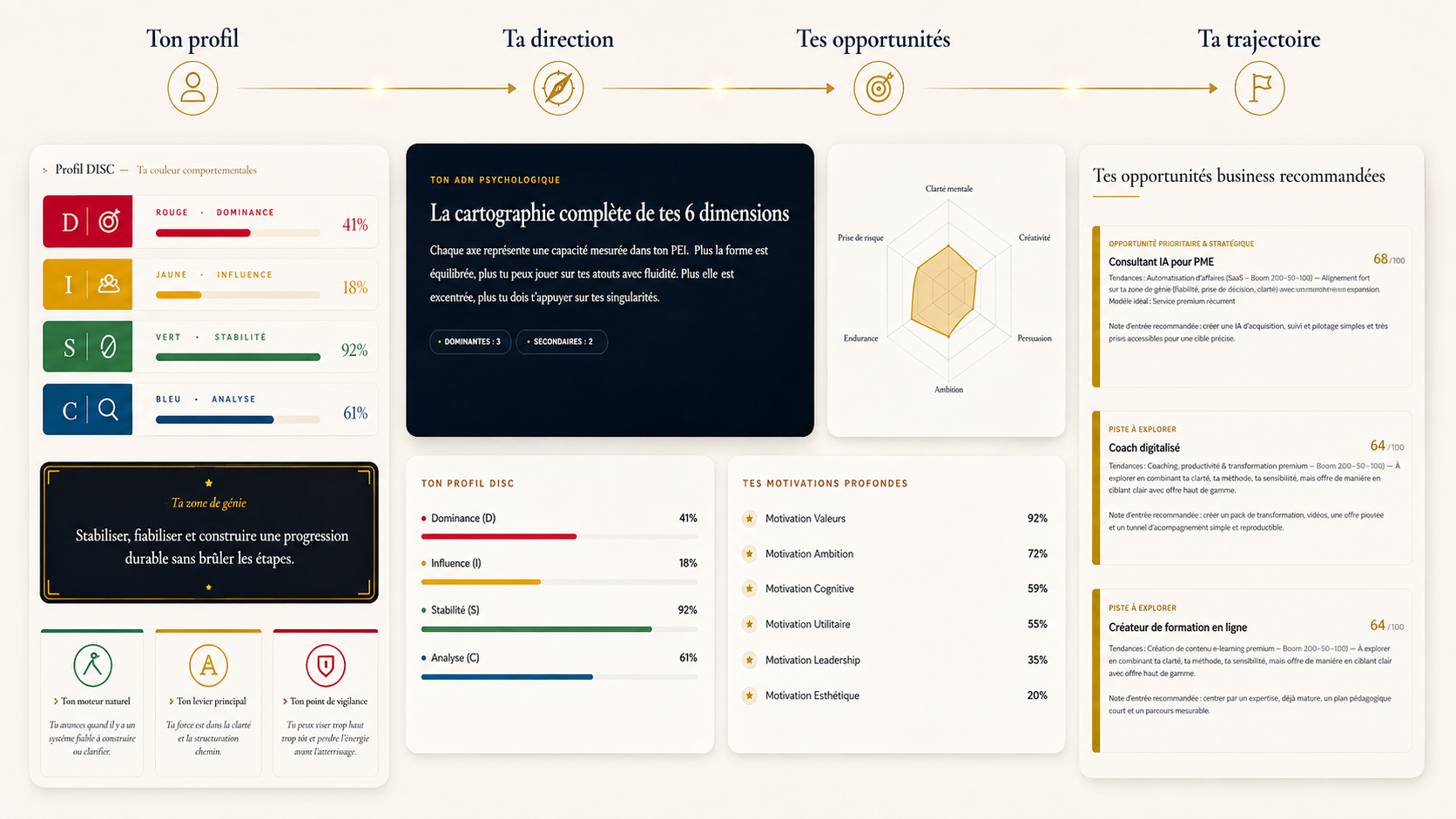 Aperçu du rapport PBE : profil DISC, cartographie des 6 dimensions, territoires dominants et opportunités business recommandées
